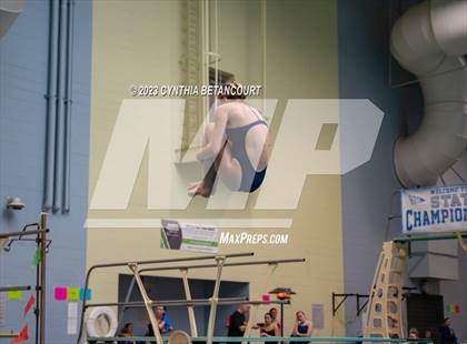 Thumbnail 2 in 3A Dive Championship photogallery.