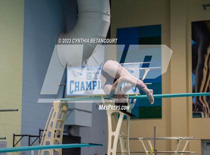 Thumbnail 1 in 3A Dive Championship photogallery.