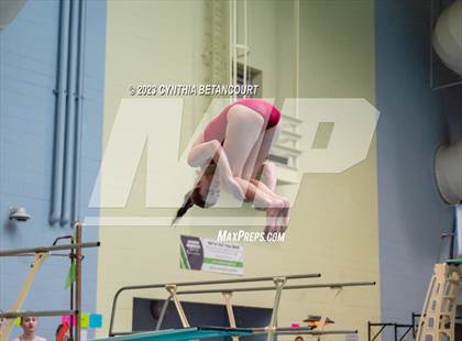 Thumbnail 2 in 3A Dive Championship photogallery.