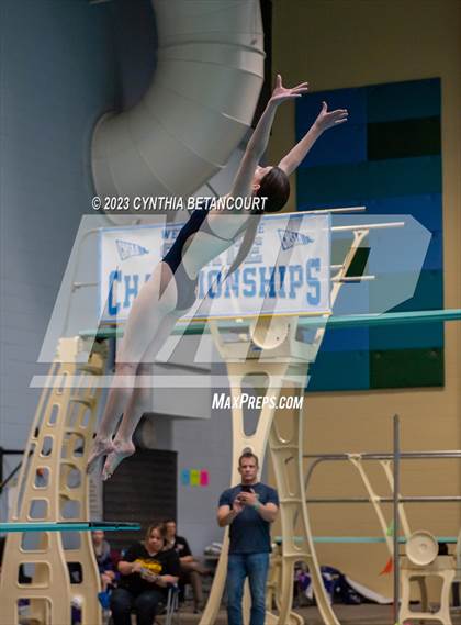 Thumbnail 3 in 3A Dive Championship photogallery.