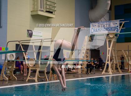 Thumbnail 2 in 3A Dive Championship photogallery.
