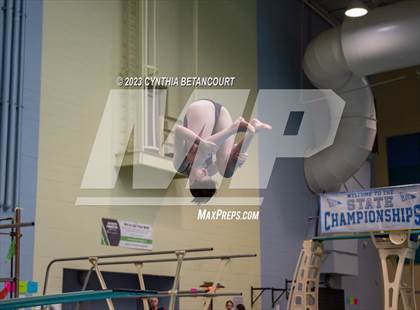 Thumbnail 2 in 3A Dive Championship photogallery.