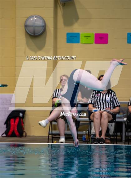 Thumbnail 1 in 3A Dive Championship photogallery.