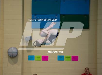 Thumbnail 1 in 3A Dive Championship photogallery.