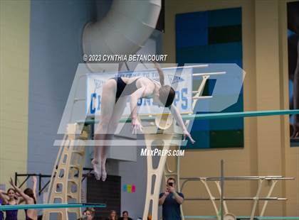 Thumbnail 1 in 3A Dive Championship photogallery.