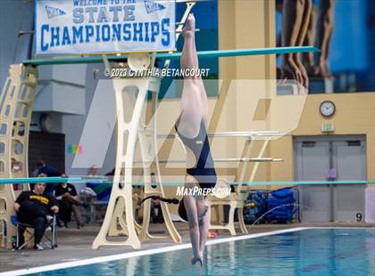 Thumbnail 1 in 3A Dive Championship photogallery.