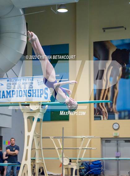 Thumbnail 3 in 3A Dive Championship photogallery.