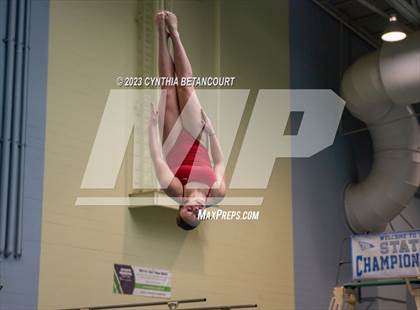 Thumbnail 2 in 3A Dive Championship photogallery.