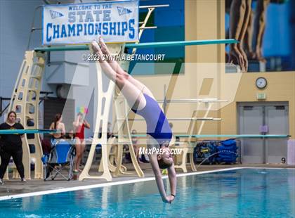 Thumbnail 3 in 3A Dive Championship photogallery.