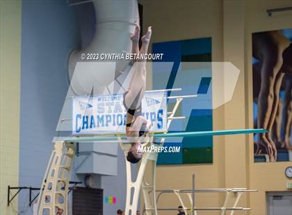 Thumbnail 1 in 3A Dive Championship photogallery.