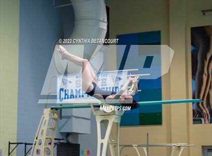 Thumbnail 2 in 3A Dive Championship photogallery.
