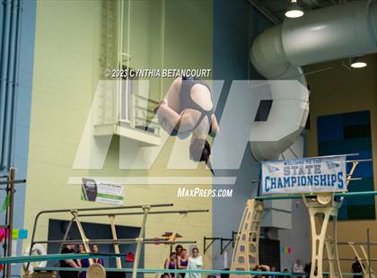 Thumbnail 2 in 3A Dive Championship photogallery.