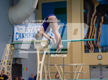 Thumbnail 2 in 3A Dive Championship photogallery.