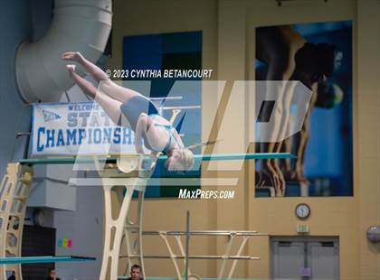 Thumbnail 1 in 3A Dive Championship photogallery.