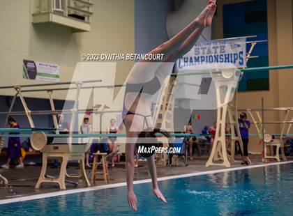 Thumbnail 2 in 3A Dive Championship photogallery.