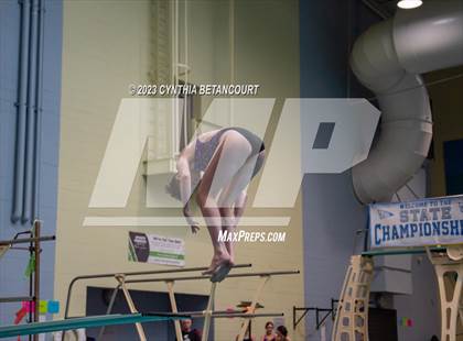 Thumbnail 1 in 3A Dive Championship photogallery.
