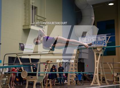 Thumbnail 2 in 3A Dive Championship photogallery.
