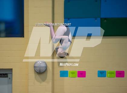 Thumbnail 1 in 3A Dive Championship photogallery.
