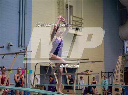 Thumbnail 2 in 3A Dive Championship photogallery.