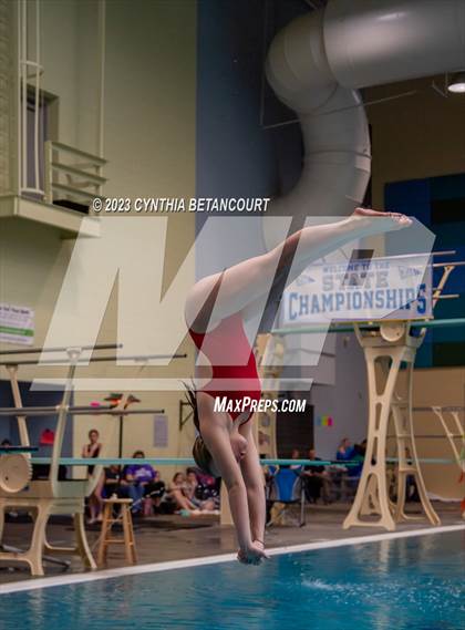 Thumbnail 2 in 3A Dive Championship photogallery.
