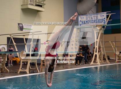 Thumbnail 1 in 3A Dive Championship photogallery.