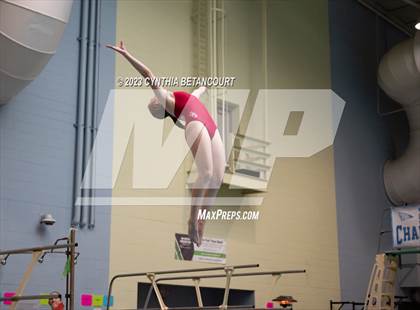 Thumbnail 2 in 3A Dive Championship photogallery.