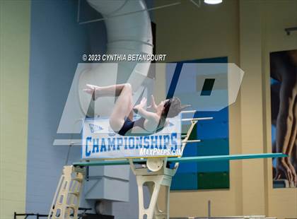 Thumbnail 1 in 3A Dive Championship photogallery.