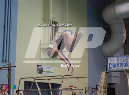 Thumbnail 3 in 3A Dive Championship photogallery.