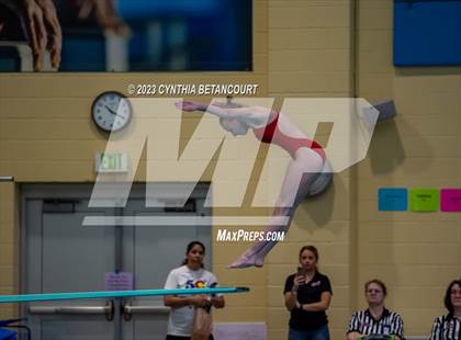 Thumbnail 1 in 3A Dive Championship photogallery.