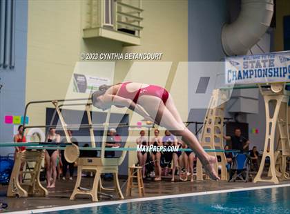 Thumbnail 3 in 3A Dive Championship photogallery.