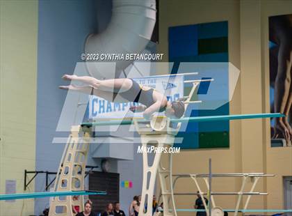 Thumbnail 2 in 3A Dive Championship photogallery.