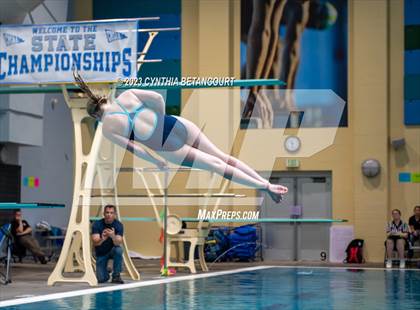 Thumbnail 2 in 3A Dive Championship photogallery.
