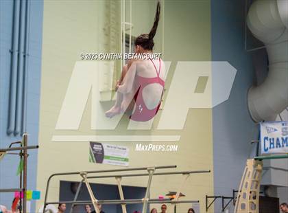 Thumbnail 1 in 3A Dive Championship photogallery.