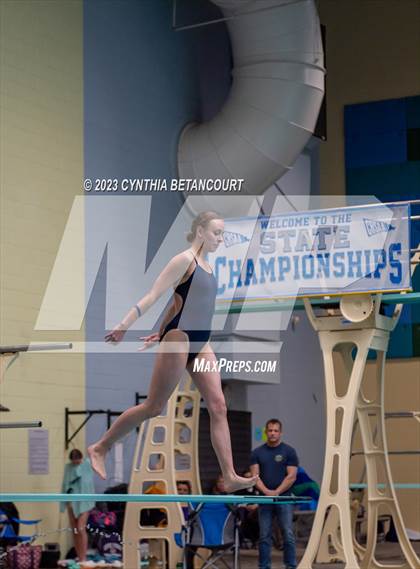 Thumbnail 2 in 3A Dive Championship photogallery.