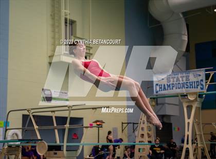 Thumbnail 2 in 3A Dive Championship photogallery.