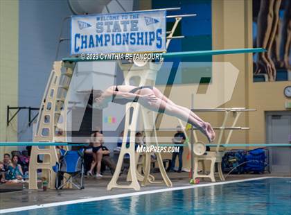 Thumbnail 2 in 3A Dive Championship photogallery.