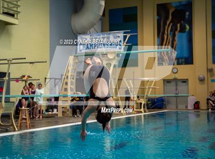 Thumbnail 2 in 3A Dive Championship photogallery.