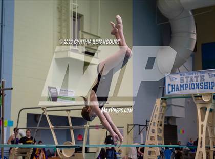 Thumbnail 2 in 3A Dive Championship photogallery.