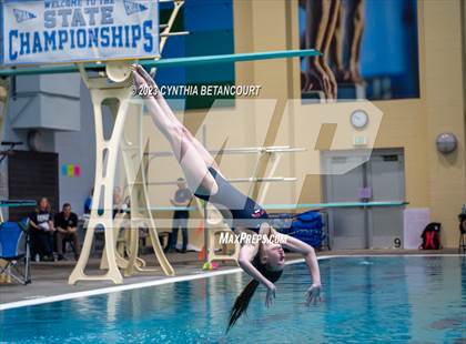Thumbnail 1 in 3A Dive Championship photogallery.