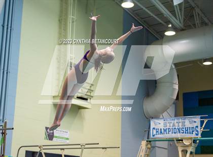 Thumbnail 1 in 3A Dive Championship photogallery.