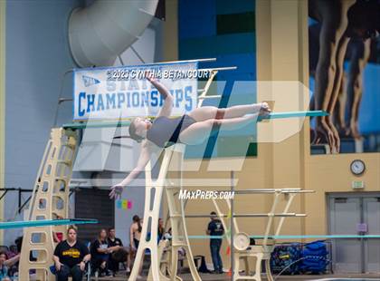 Thumbnail 3 in 3A Dive Championship photogallery.