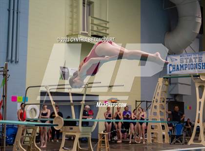 Thumbnail 2 in 3A Dive Championship photogallery.