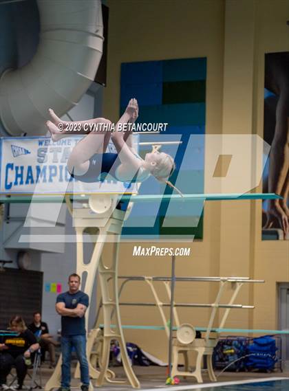 Thumbnail 2 in 3A Dive Championship photogallery.