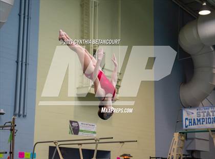 Thumbnail 2 in 3A Dive Championship photogallery.
