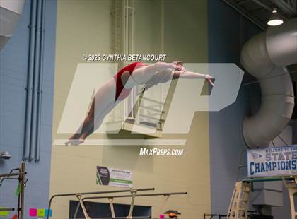 Thumbnail 3 in 3A Dive Championship photogallery.
