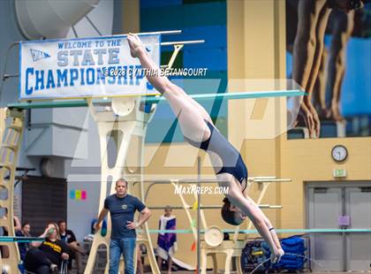Thumbnail 1 in 3A Dive Championship photogallery.