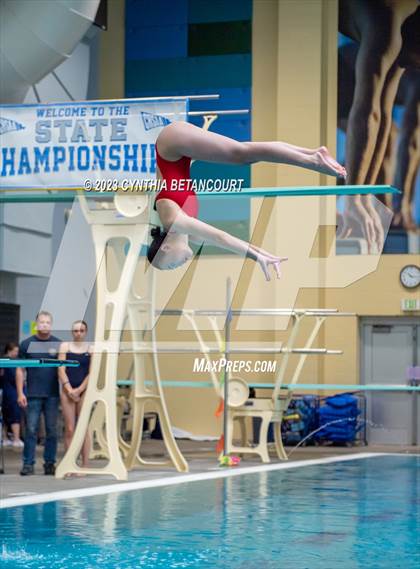 Thumbnail 2 in 3A Dive Championship photogallery.
