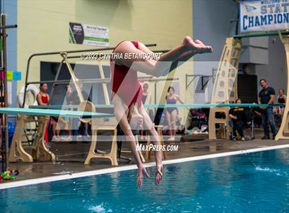 Thumbnail 3 in 3A Dive Championship photogallery.