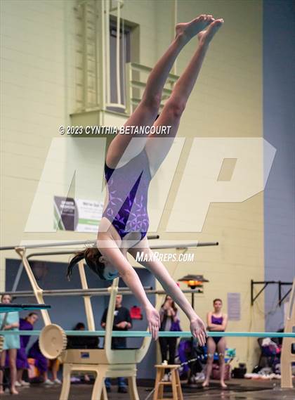 Thumbnail 2 in 3A Dive Championship photogallery.