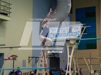 Thumbnail 3 in 3A Dive Championship photogallery.
